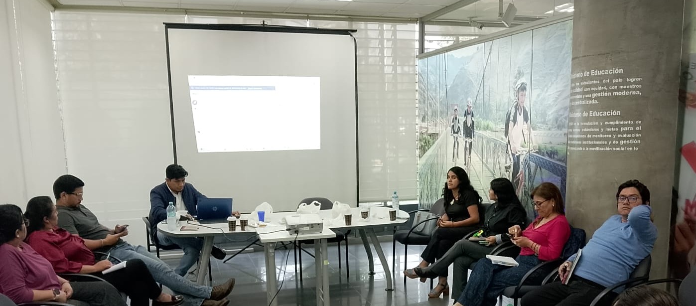 Consultoría MINEDU